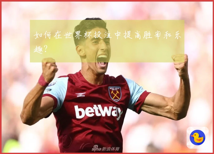 如何在世界杯投注中提高胜率和乐趣？