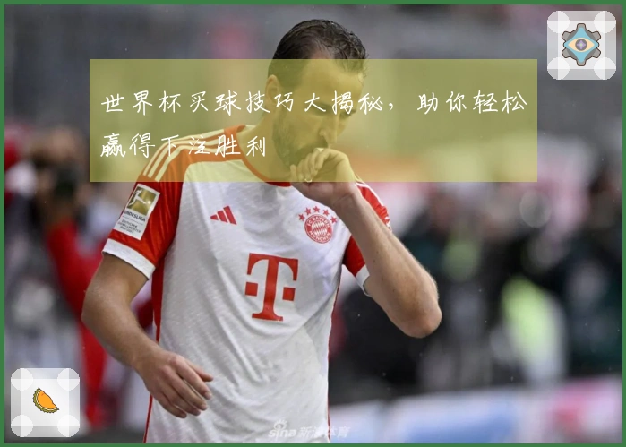 世界杯买球技巧大揭秘，助你轻松赢得下注胜利