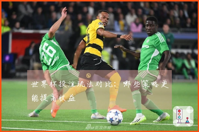 世界杯投注玩法对比：哪些策略更能提高收益