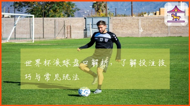 世界杯滚球盘口解析，了解投注技巧与常见玩法