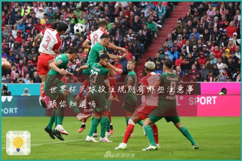 世界杯买球投注规则有哪些注意事项你知道吗