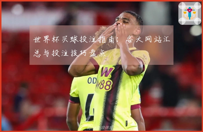 世界杯买球投注指南：各大网站汇总与投注技巧盘点
