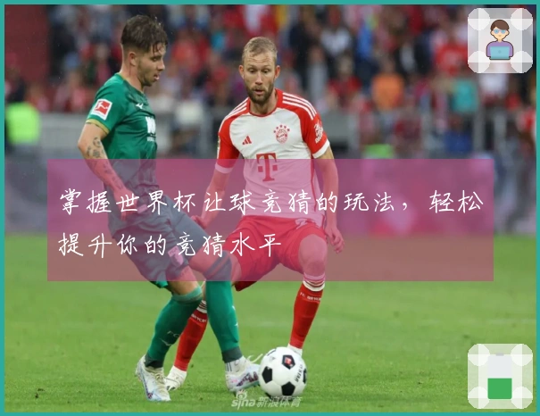 掌握世界杯让球竞猜的玩法，轻松提升你的竞猜水平