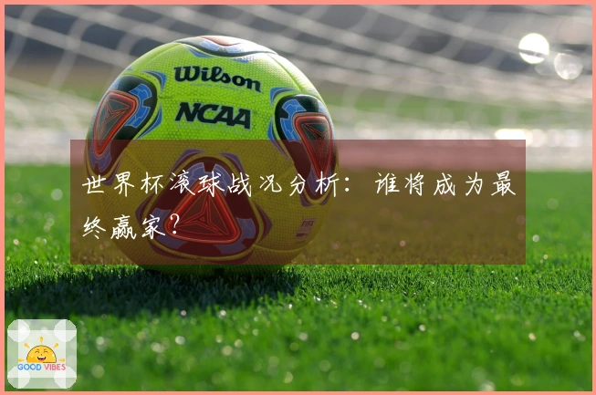 世界杯滚球战况分析：谁将成为最终赢家？