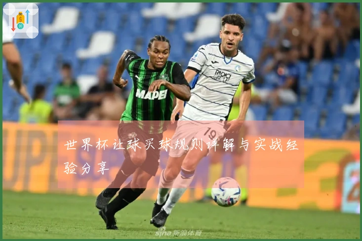世界杯让球买球规则详解与实战经验分享