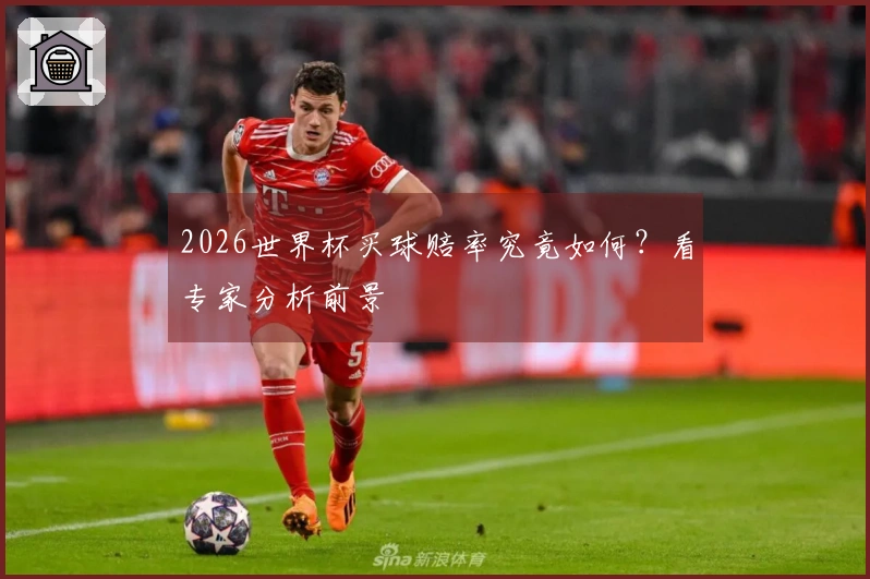 2026世界杯买球赔率究竟如何？看专家分析前景