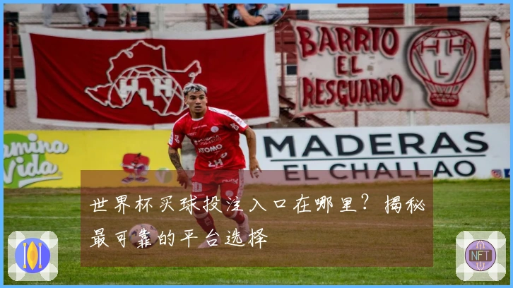 世界杯买球投注入口在哪里？揭秘最可靠的平台选择
