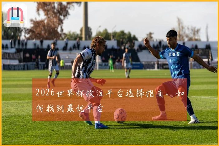 2026世界杯投注平台选择指南，如何找到最优平台