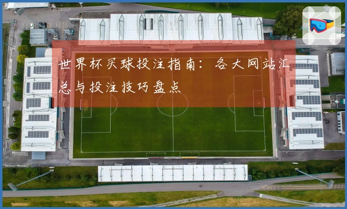 世界杯买球投注指南：各大网站汇总与投注技巧盘点