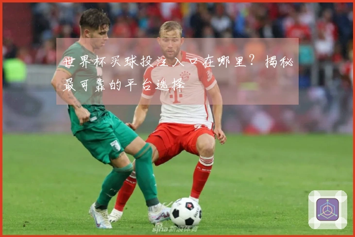 世界杯买球投注入口在哪里？揭秘最可靠的平台选择