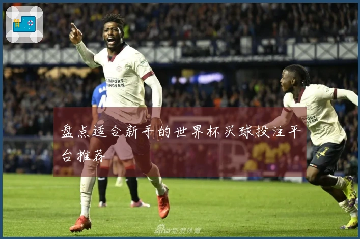 盘点适合新手的世界杯买球投注平台推荐