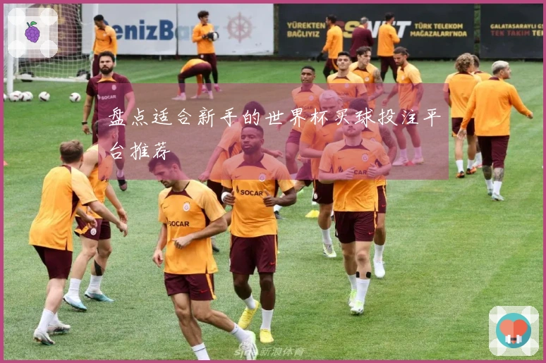 盘点适合新手的世界杯买球投注平台推荐
