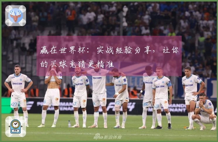 赢在世界杯：实战经验分享，让你的买球竞猜更精准