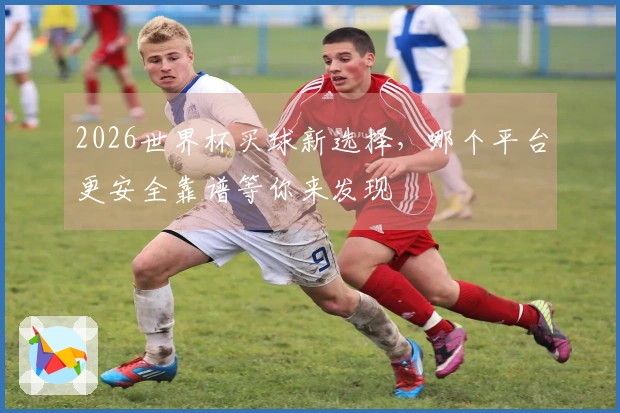 2026世界杯买球新选择，哪个平台更安全靠谱等你来发现