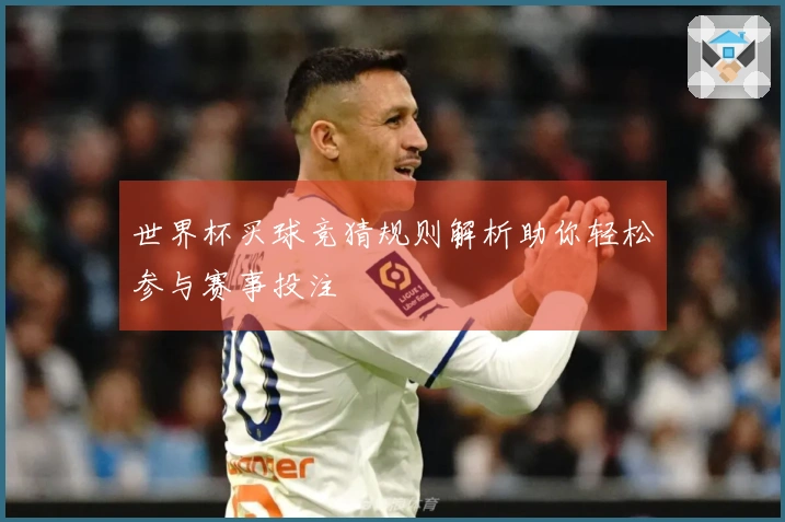 世界杯买球竞猜规则解析助你轻松参与赛事投注