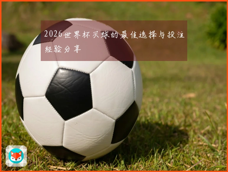 2026世界杯买球的最佳选择与投注经验分享